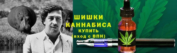 индика Богданович